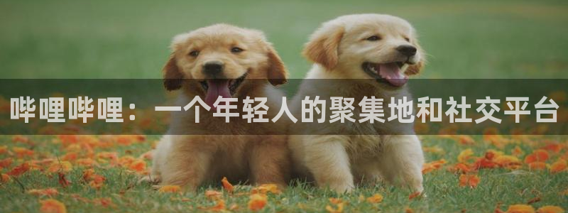 羞羞漫画好看：哔哩哔哩：一个年轻人的聚集地和社交平台