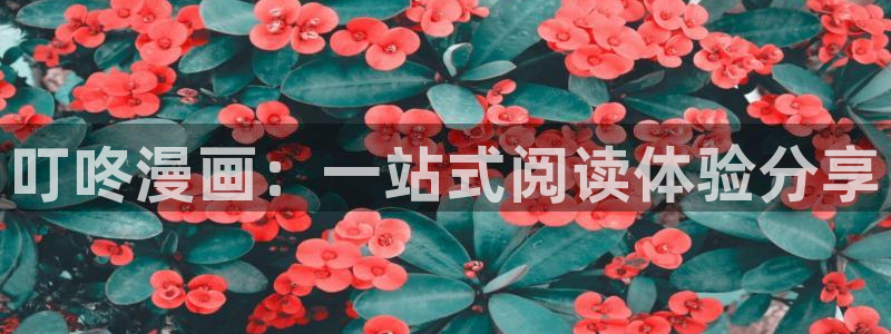 羞羞漫画歪歪漫画入口：叮咚漫画：一站式阅读体验分享