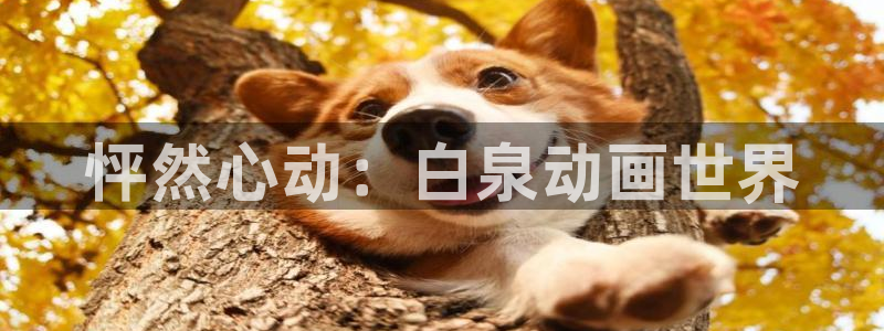 羞羞漫画韩漫在线免费：怦然心动：白泉动画世界