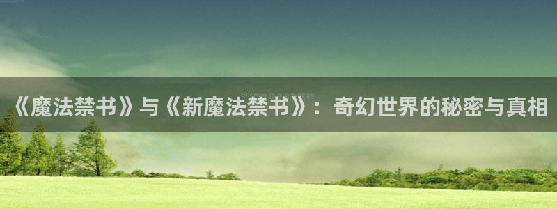 羞羞漫画在线观看免费观看：《魔法禁书》与《新魔法禁书》：奇幻世界的秘密与真相