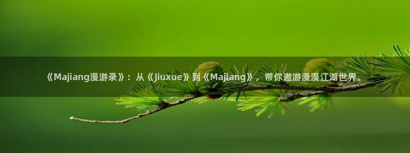羞羞漫画,在线免费观看：《Majiang漫游录》：从《Jiuxue》到《Majiang》，带你遨游漫漫江湖世界。