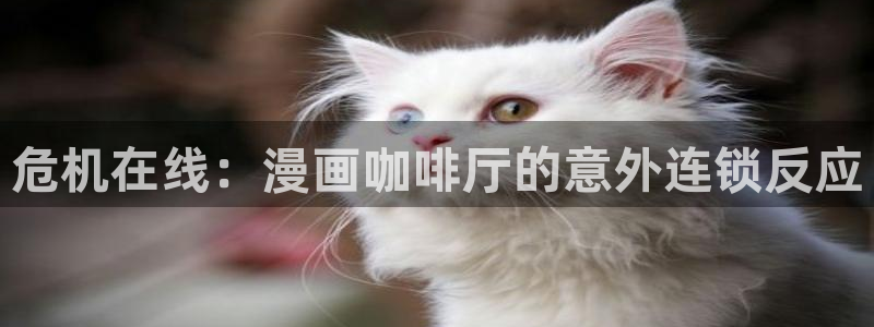 羞羞漫画歪歪漫画av：危机在线：漫画咖啡厅的意外连锁反应