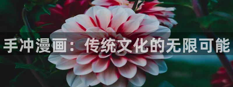 羞羞漫画,在线入口：手冲漫画：传统文化的无限可能