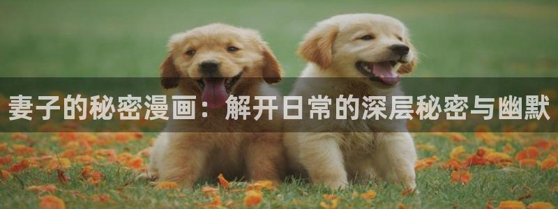 羞羞漫画交换游戏免费：妻子的秘密漫画：解开日常的深层秘密与幽默