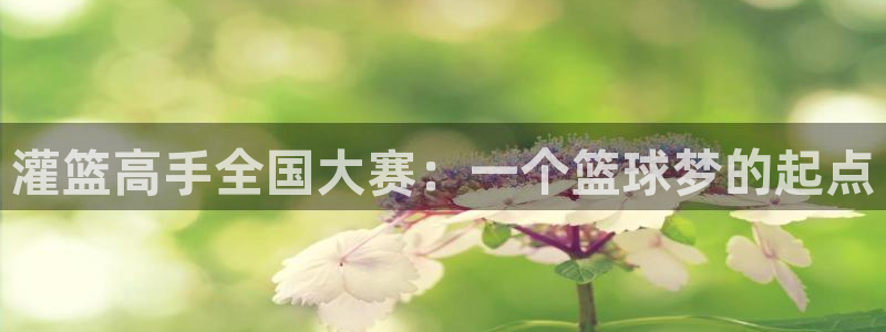 色轮眼羞羞漫画：灌篮高手全国大赛：一个篮球梦的起点