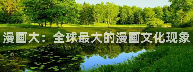 在线阅读羞羞漫画：漫画大：全球最大的漫画文化现象
