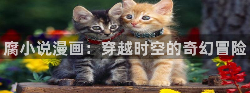 羞羞漫画韩漫成人：腐小说漫画：穿越时空的奇幻冒险