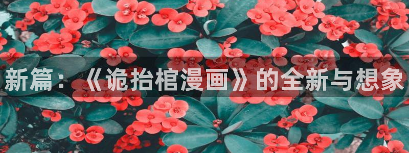 羞羞漫画com.：新篇：《诡抬棺漫画》的全新与想象