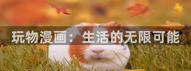 网站羞羞漫画：玩物漫画：生活的无限可能