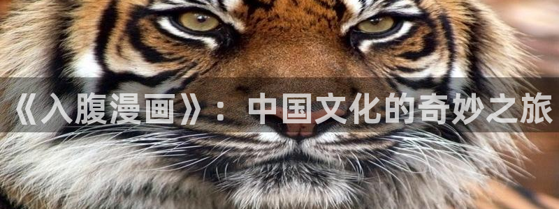 羞羞漫画登录页面免费漫画入口财经